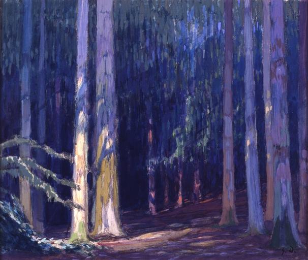 La forêt profonde_0