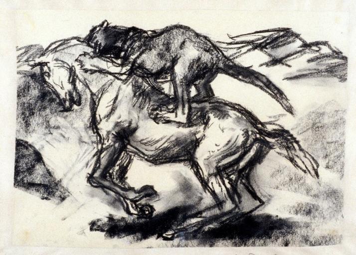 Fauve attaquant un cheval_0