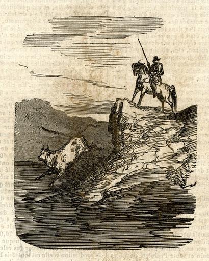 'Cavalier et taureau', p. 80_0