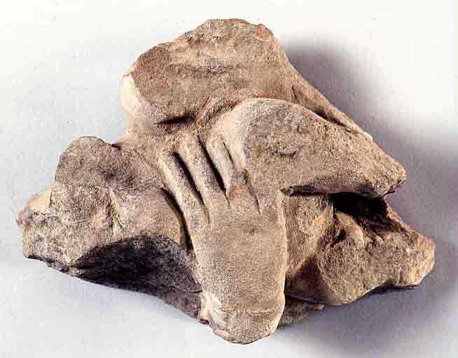 Fragment de main, 4e quart 13e siècle, 1er quart 14e siècle