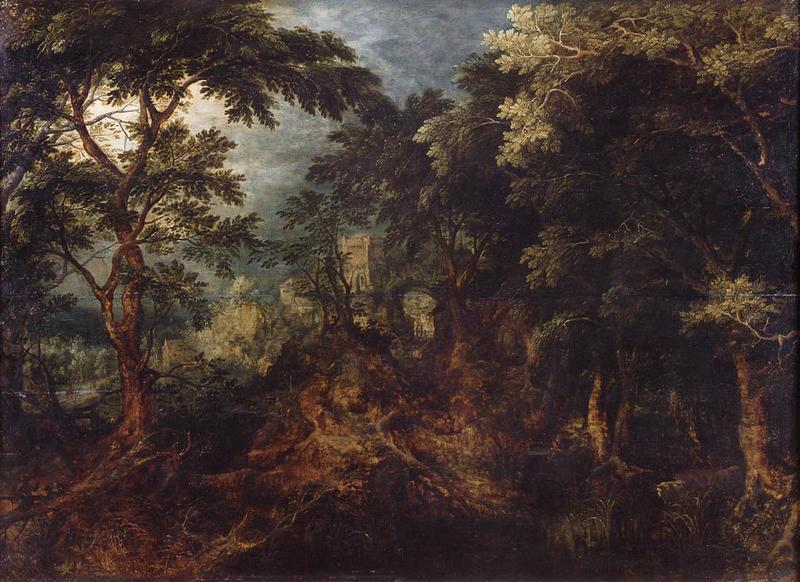 Sous-bois_0
