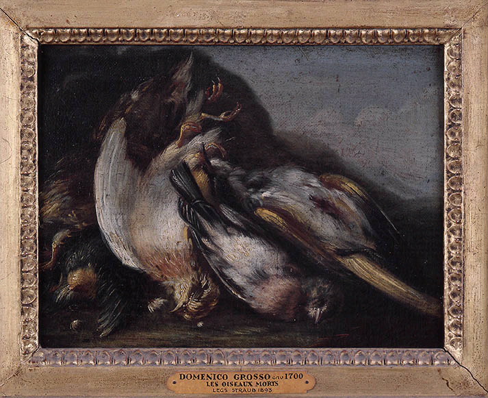 Etude d'oiseaux morts, Domenico Grosso, 1ère moitié 18e siècle