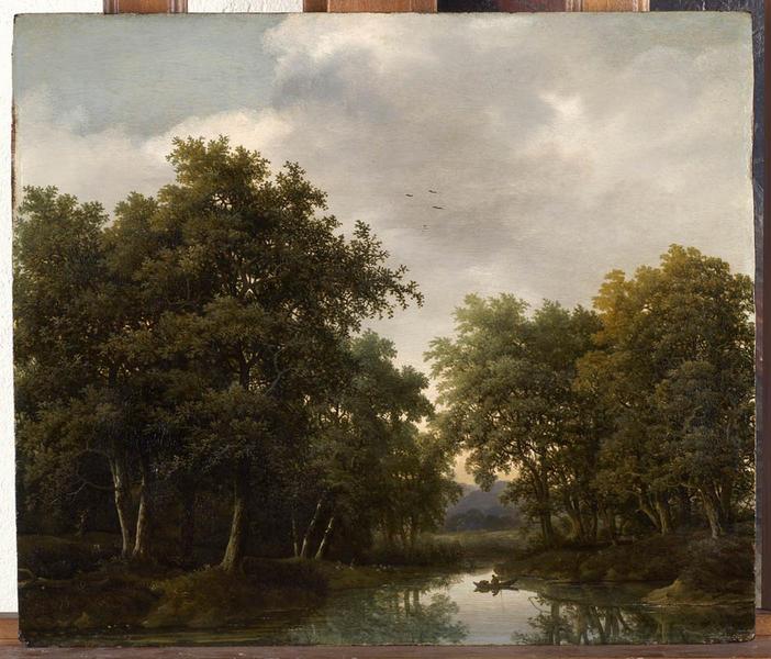 Paysage forestier_0
