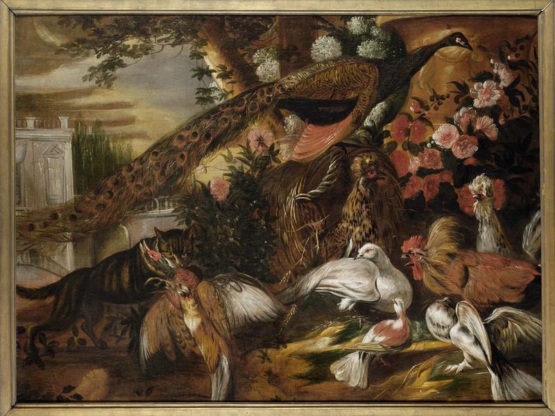 Nature morte au paon, David de Coninck, 17e siècle