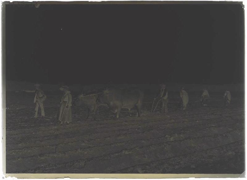 Labours et semailles ; Labours et semailles à Gaillard (Lüe). (titre attribué)_0