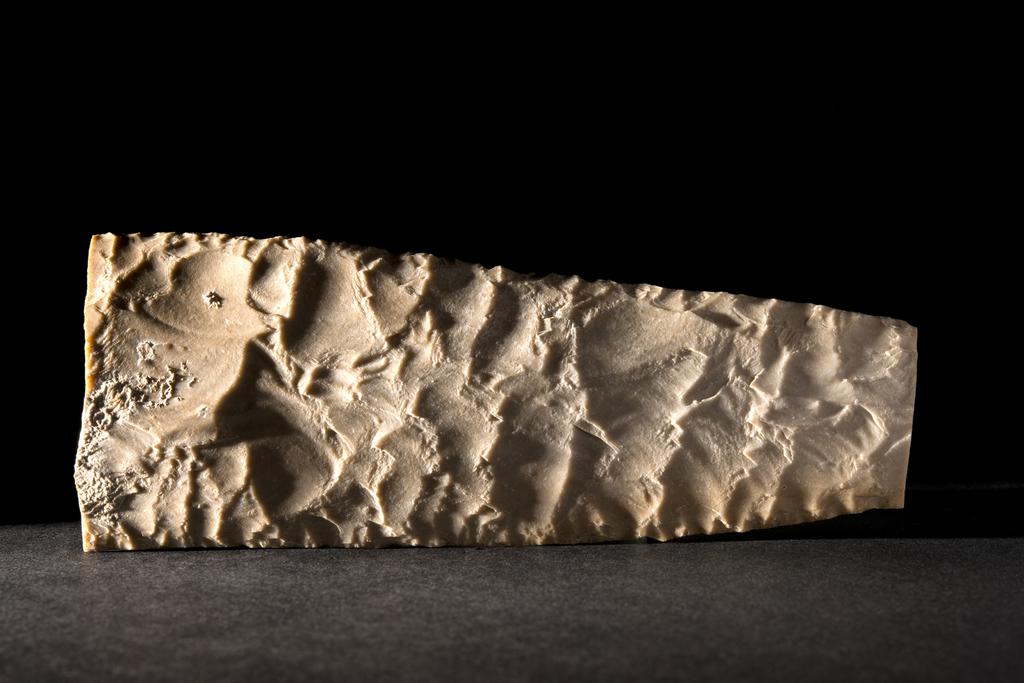 Feuille de laurier_0