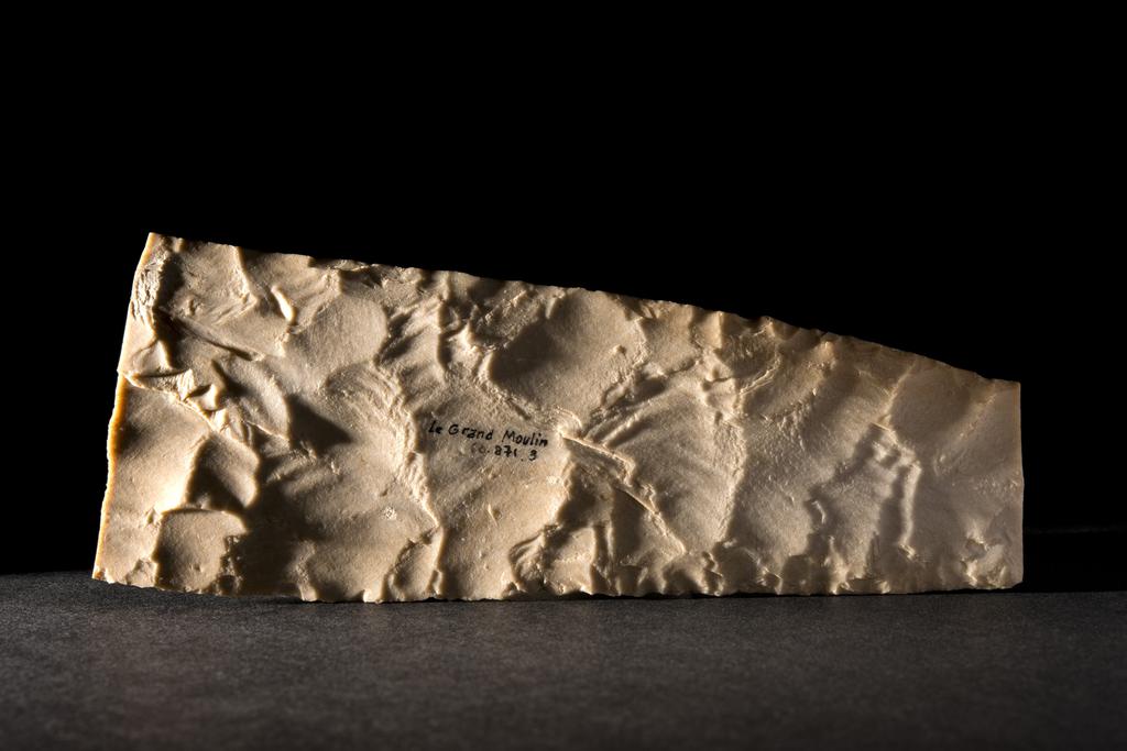 Feuille de laurier_1