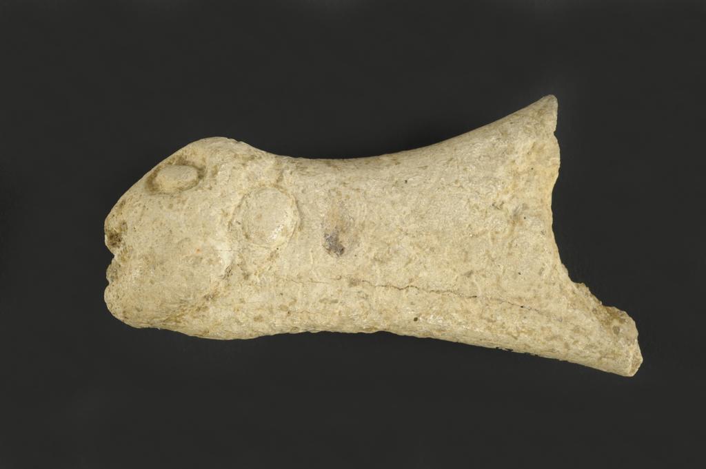 Anthropomorphe_0