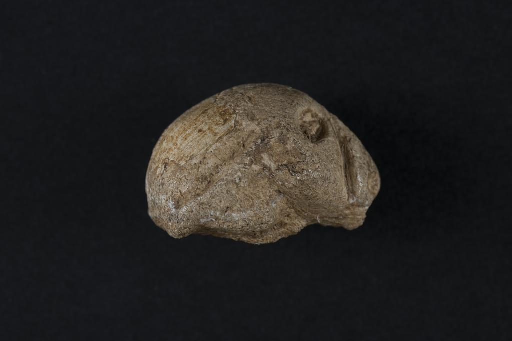 Anthropomorphe_3