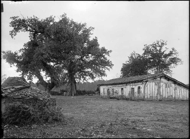 Quartier de Serris - Aureilhan_0