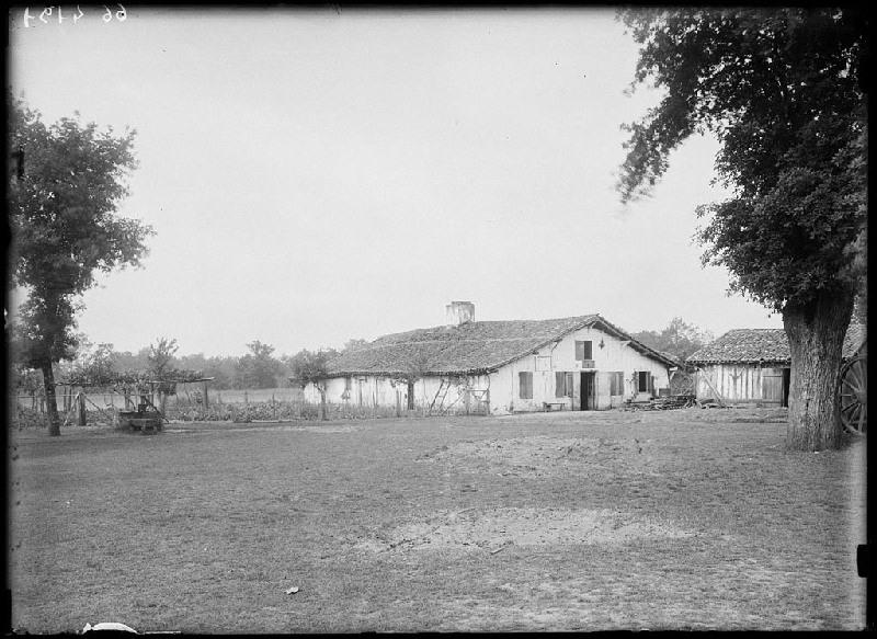 Maison 'Mayique' - Cap de pin (Solferino)_0