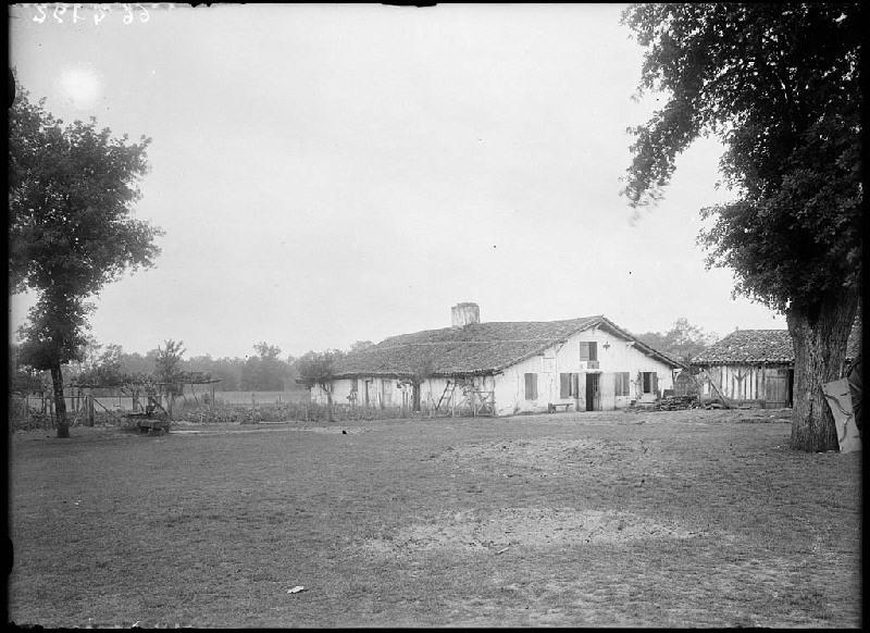 Maison 'Mayique' - Cap de pin (Solferino)_0