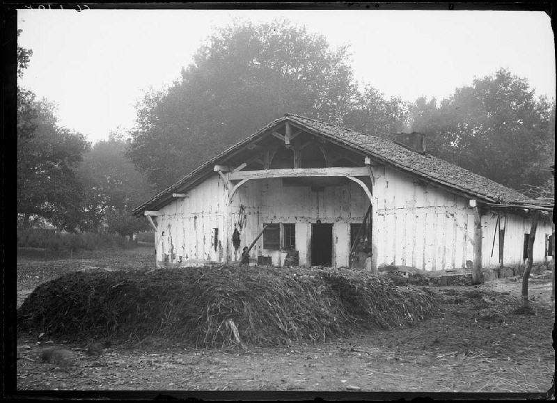 Maison à auvent - Ayguesèque (Commensacq)_0