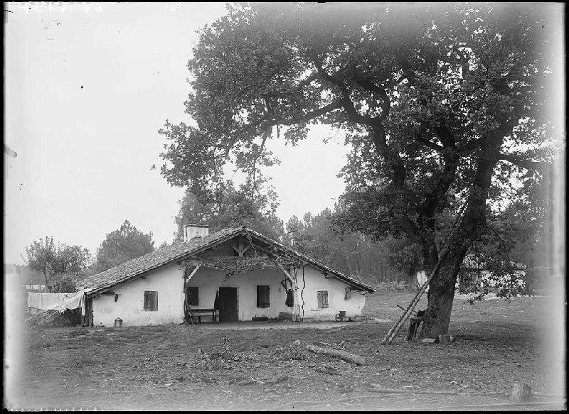 Maison à auvent - Bacqueserre (Commensacq)_0