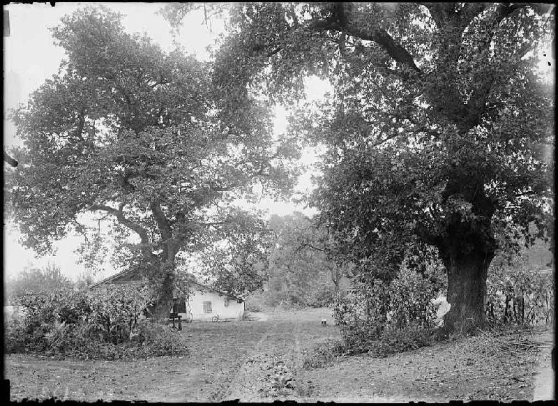 Maison à auvent - Bacqueserre (Commensacq)_0