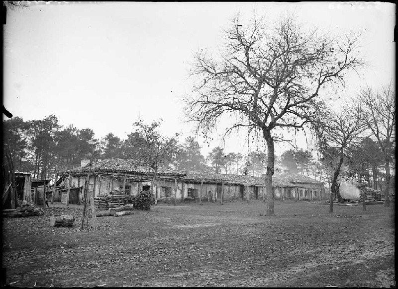 Ancienne maison des Balhadère - Cantegrit (Commensacq)_0