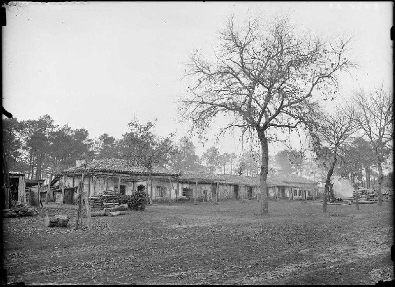 Ancienne maison des Balhadère - Cantegrit (Commensacq)_0