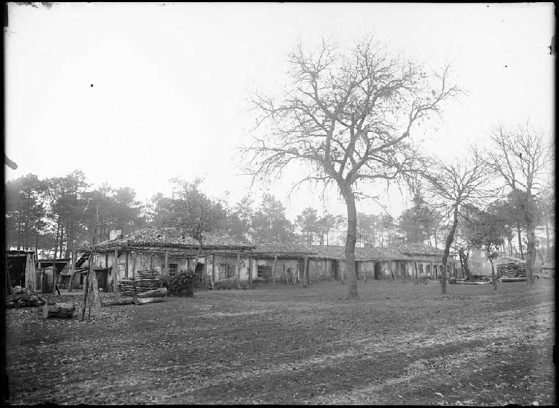 Ancienne maison des Balhadère - Cantegrit (Commensacq)_0
