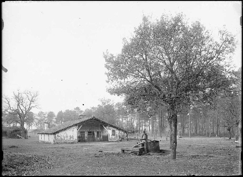 Maison à auvent - Cantegrit (Commensacq)_0