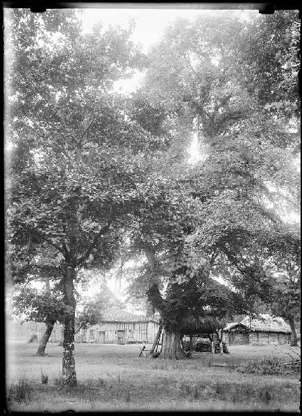 Maison et bergerie - Janoutrac (Commensacq)_0