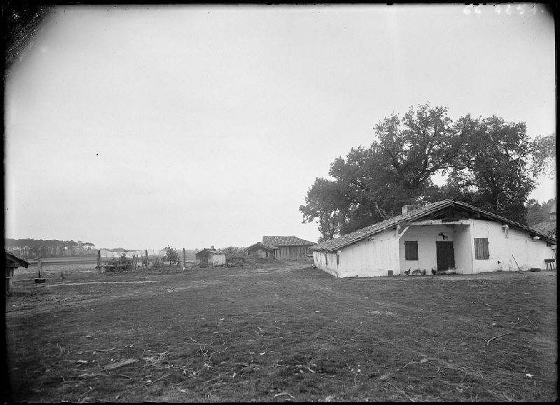 Maison Lafon - Guidenson (Commensacq)_0