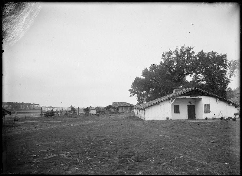 Maison Lafon - Guidenson (Commensacq)_0