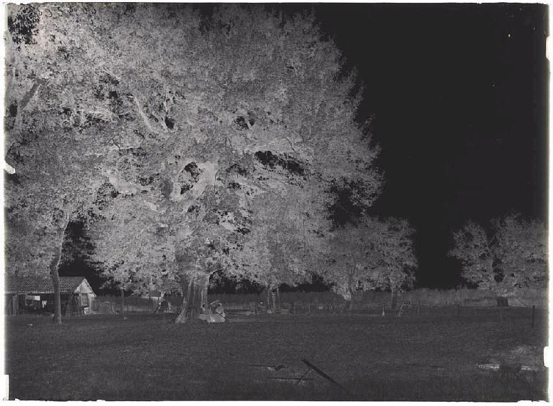 Airial vu du Sud - Baluhet (Escource) (il est inscrit 'ancien bourdiou' dans le registre d'inventaire)_1