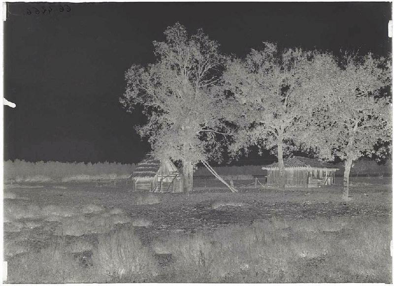 Ancienne grange vue du Sud-Est - Belloc (Escource)_1