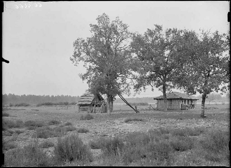 Ancienne grange vue du Sud-Est - Belloc (Escource)_0