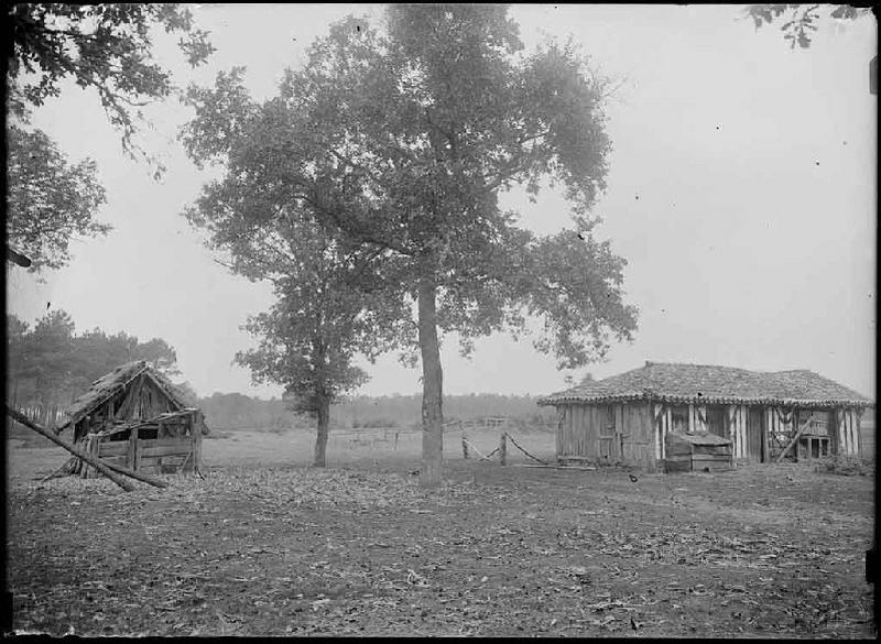 Ancienne grange vue du Sud-Est - Belloc (Escource)_0