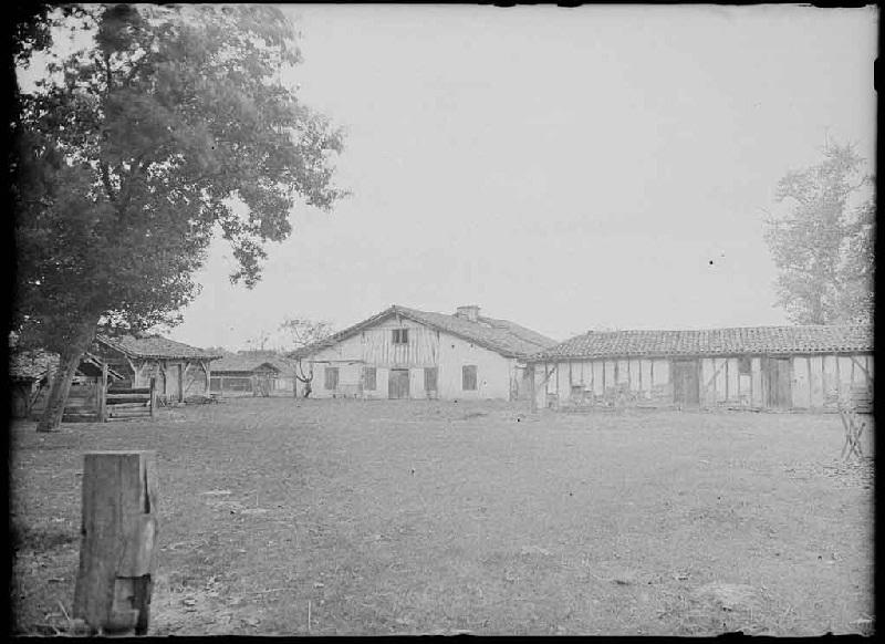 Maison de pierre - Bergit (Escource)_0