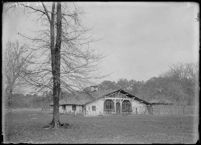 Maison à auvent - Gaye (Escource)_0