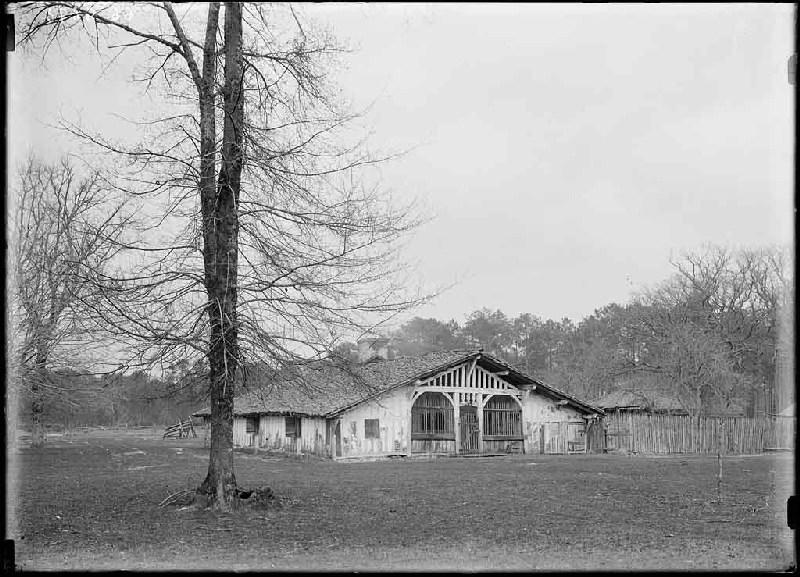 Maison à auvent - Gaye (Escource)_0