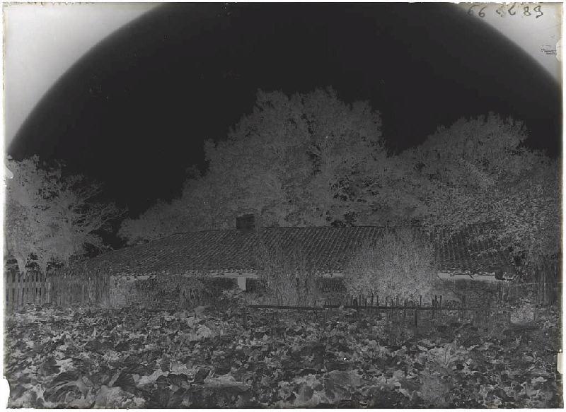 Maison - La Boyre (Labouheyre)_1