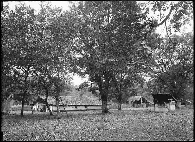 La Boyre (Labouheyre)_0