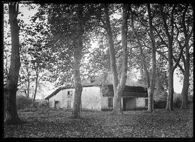Maison Dubroca - Liposthey (Landes)_0