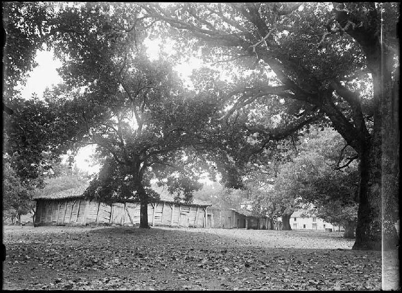 Vieux marché, et halles - Liposthey (Landes)_0
