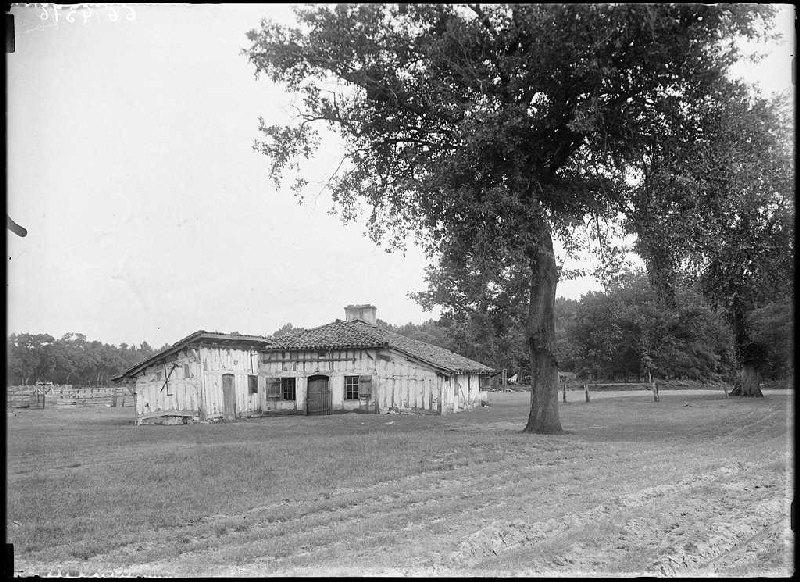 Maison de l'ormeau - Cantore (Lüe) (Titre attribué)_0
