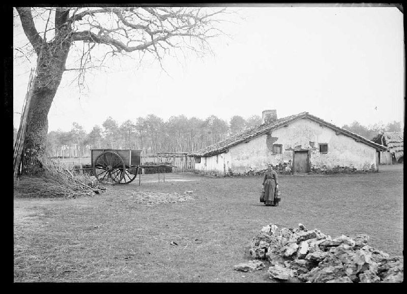 Ancienne maison de Lapa - Cantore (Lüe) (Titre attribué)_0