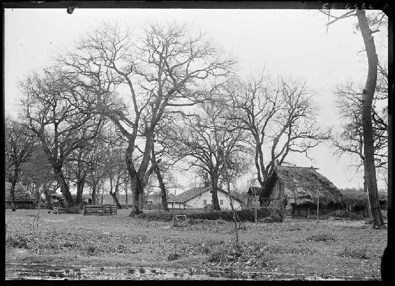 Métairie Darmensacq - Gillet (Landes) (Titre attribué)_0