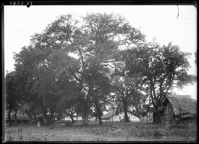Métairie Darmensacq - Gillet (Landes) (Titre attribué)_0
