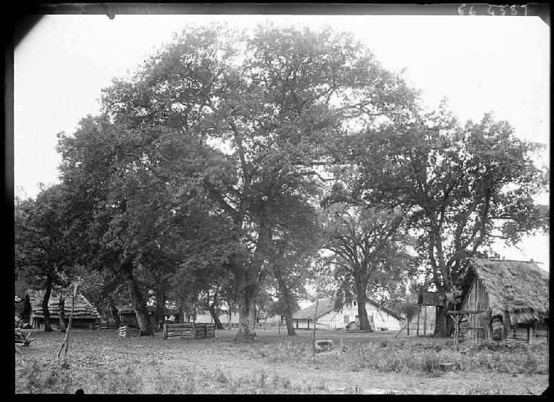 Métairie Darmensacq - Gillet (Landes) (Titre attribué)_0