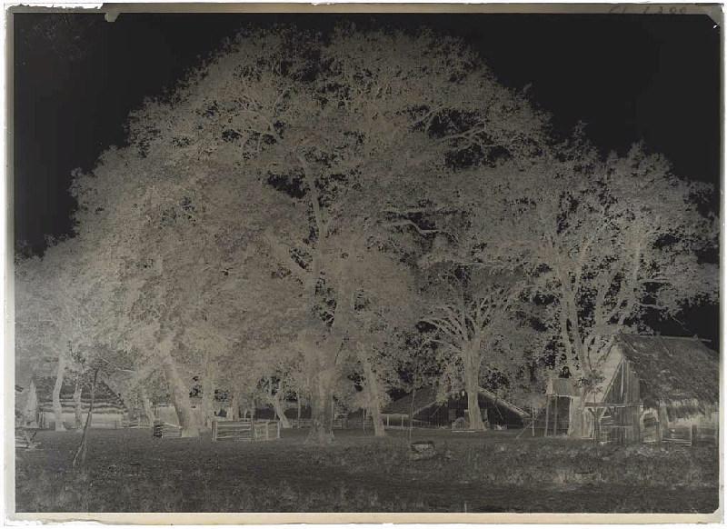 Métairie Darmensacq - Gillet (Landes) (Titre attribué)_1