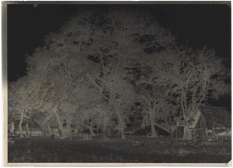 Métairie Darmensacq - Gillet (Landes) (Titre attribué)_1