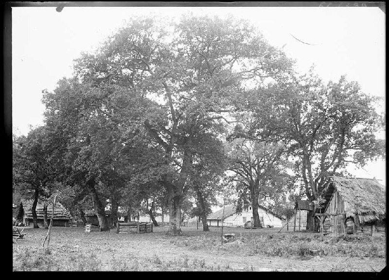 Métairie Darmensacq - Gillet (Landes) (Titre attribué)_0