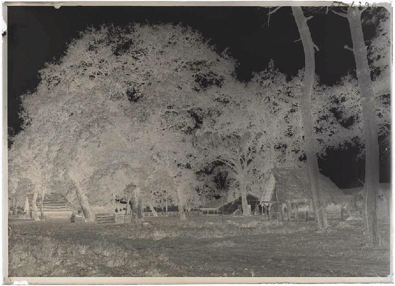 Métairie Darmensacq - Gillet (Landes) (Titre attribué)_1