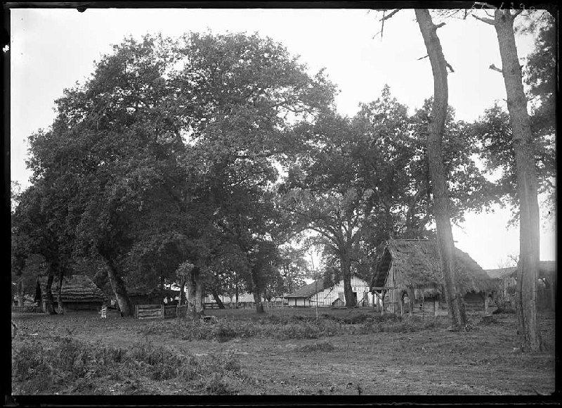 Métairie Darmensacq - Gillet (Landes) (Titre attribué)_0