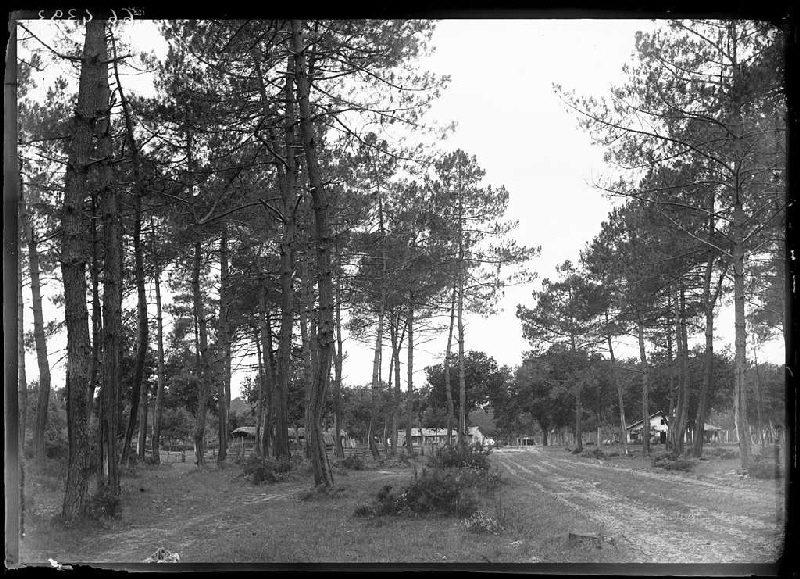 Vue du quartier - Grué (Lüe) (Titre attribué)_0