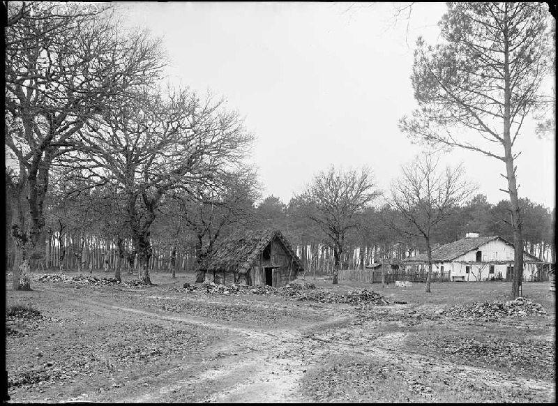 Maison et borde - Grué (Lüe) (Titre attribué)_0
