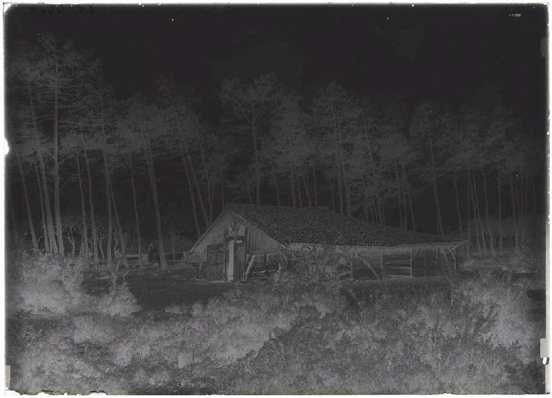 Parc voisin de la maison Mounichon - Grué (Lüe) (Titre attribué)_1